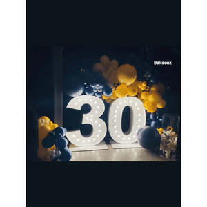 Giant 30 Light-Up Number Hire | 30th Birthday Auckland
