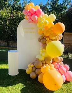Top Selling: Rose, honey yellow and hazelnut balloon backdrop