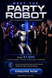 Party Robot Experience