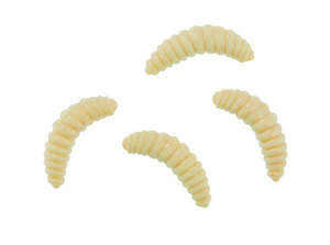 Fishing Lures: Flavoured Bee Maggot (Natural)