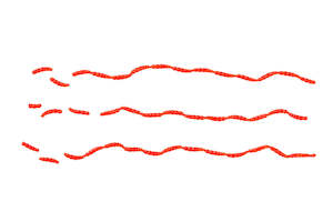 Fishing Lures: Flavoured Blood Worm Natural