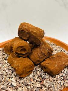 Bonbons: Organic 70% Dark Chocolate Truffles – Papua New Guinea Cocoa