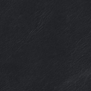Swatches Leather 1: Swatch - Leather - Caviar