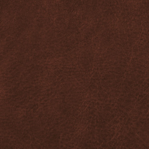 Swatches Leather 1: Swatch - Leather - Chestnut