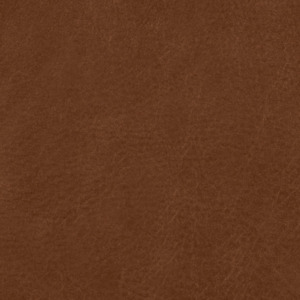 Swatches Leather 1: Swatch - Leather - Cognac