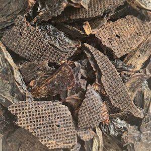 NZ Green Lipped Mussels 100g