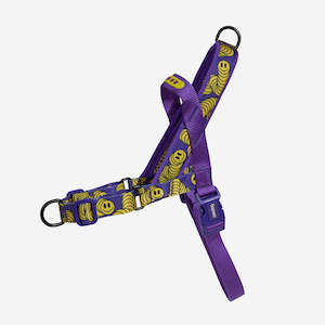 GiGwi Dental Mesh Cat Toy - Seahorse