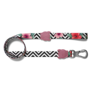 Accessories: Zee.Dog Nit Leash - Gluten