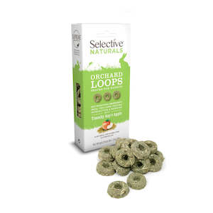 Accessories: Zee.Dog | Adjustable Air Mesh Harness - Prisma