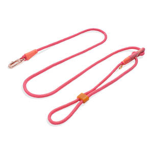 Collars And Leashes: Zee.Dog Hands-Free Leash - Gazelle
