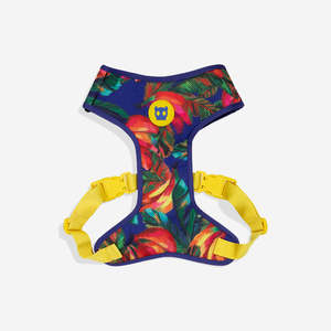 Collars And Leashes: Zee.Dog Mesh Harness - Samba