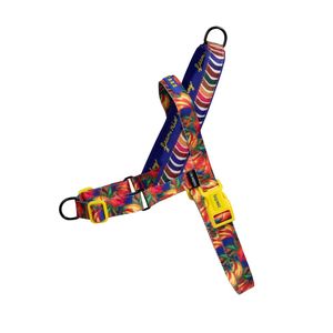 Collars And Leashes: Zee.Dog Softer Walk No-Pull Harness - Samba