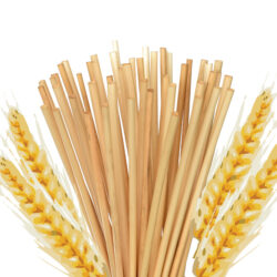 Products: Drinking Straws