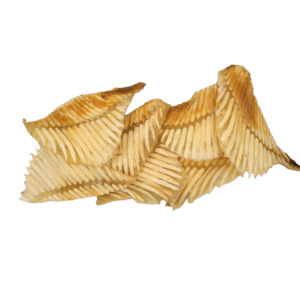 %E5%8F%82%E8%8C%B8%E6%B5%B7%E5%91%B3: 鲨鱼翅骨S 250g