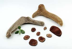 %E5%8F%82%E8%8C%B8%E6%B5%B7%E5%91%B3: 鹿嘴茸 B级 5g