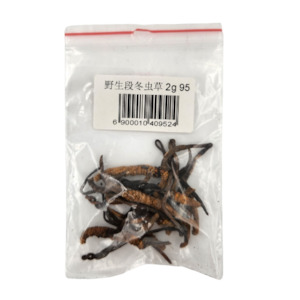 野生段冬虫草2g
