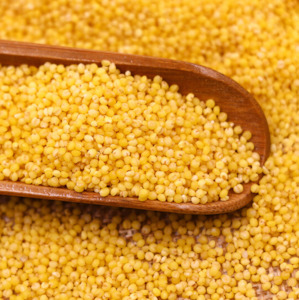 %E5%85%BB%E7%94%9F%E4%BF%9D%E5%81%A5: 有机黄小米500g