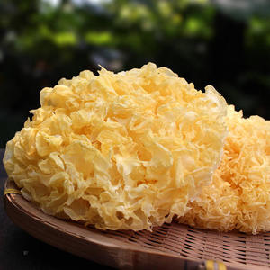 %E8%90%A5%E5%85%BB%E8%86%B3%E9%A3%9F: 雪耳 200g
