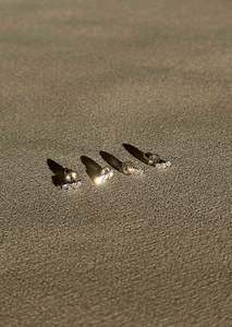 Silver Pieces: Posie Studs - Silver