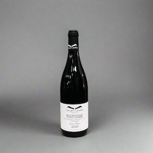 Chablis: Bourgogne Cotes d'Auxerre Blanc 2021 | Clément Lavallée