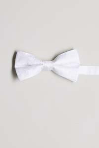 Mens Accessories: Kimmel Paisley Bow Tie