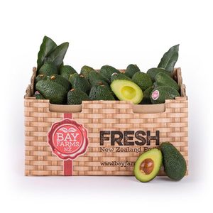 Box of 62 Small Avocados Subscription