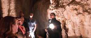 Products: Shore Excursion With Glow Worm Caves