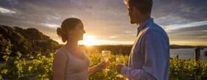 Products: Bay Of Islands Wine Tours