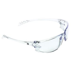 Glasses: 9900 Series Safety Glasses