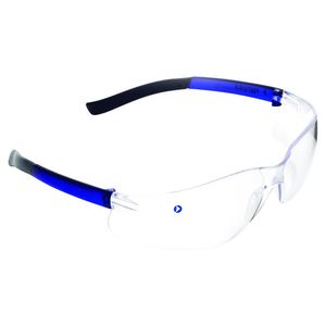 Glasses: Futura Safety Glasses