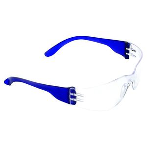 Glasses: Tsunami Safety Glasses