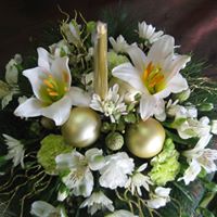 Christmas 2024: White Christmas