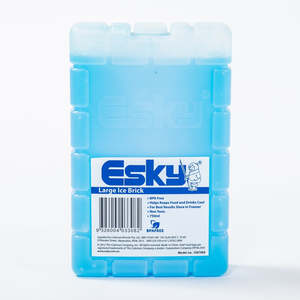 Coleman: Coleman Ice Brick Large