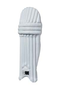 GM Cricket Yths Ambi Pads 303 (23)