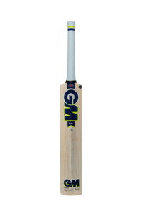GM Cricket Bat Youths Prima Premier