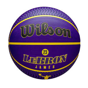 NBA Player Icon Outdoor Basketball Lebron