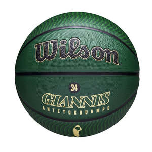 NBA Player Icon Outdoor Basketball Giannis