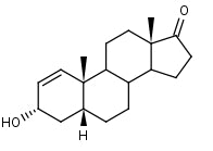 B: 5β-Androst-1-en-3α-ol-17-one | CAS Number: 33805-57-1