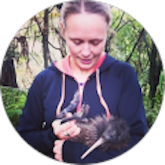 Products: Group Coaching