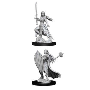 Miniatures: Female Elf Paladin Nolzur's Marvelous Unpainted Miniatures