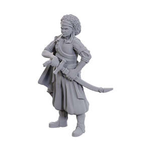 Monsters: Ansalon Human Rogue - Nolzur's Marvelous Unpainted Miniatures