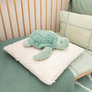 New: Toby the Turtle