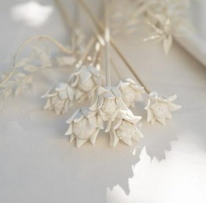 Home Scents: Protea Flower Diffuser Stick