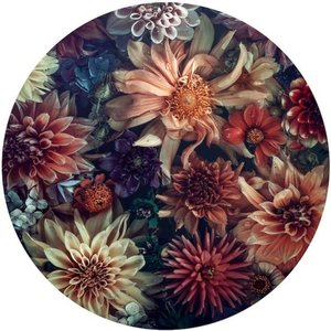 ART PRINTS — Beauty & Beyond: Decals