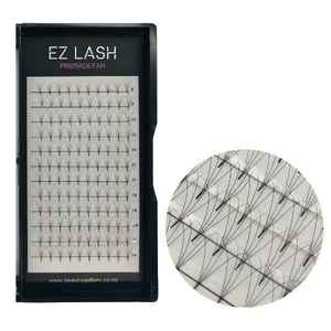 Monthly Specials: EZ LASH PREMADE FAN 4D - MIXED