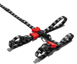 25 And Over: Cat Lead & Harness - Black Skulls