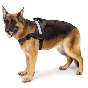 Sale: Ruff N Tuff Premium Dog Handle Harness