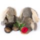 Bush Bunnies