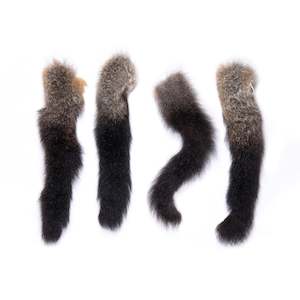 Possum Fur: Possum Tails