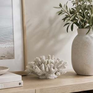 All Deals: Cove Open Coral Decor
